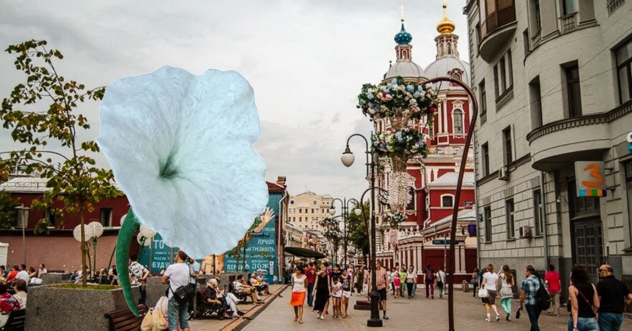 Тайны Замоскворечья и следы старой Москвы